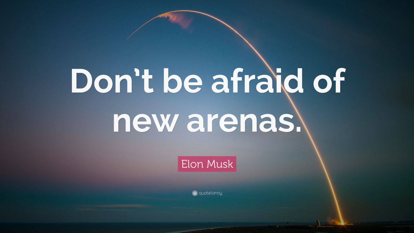 Elon Musk Quote “Don t be afraid of new arenas ”