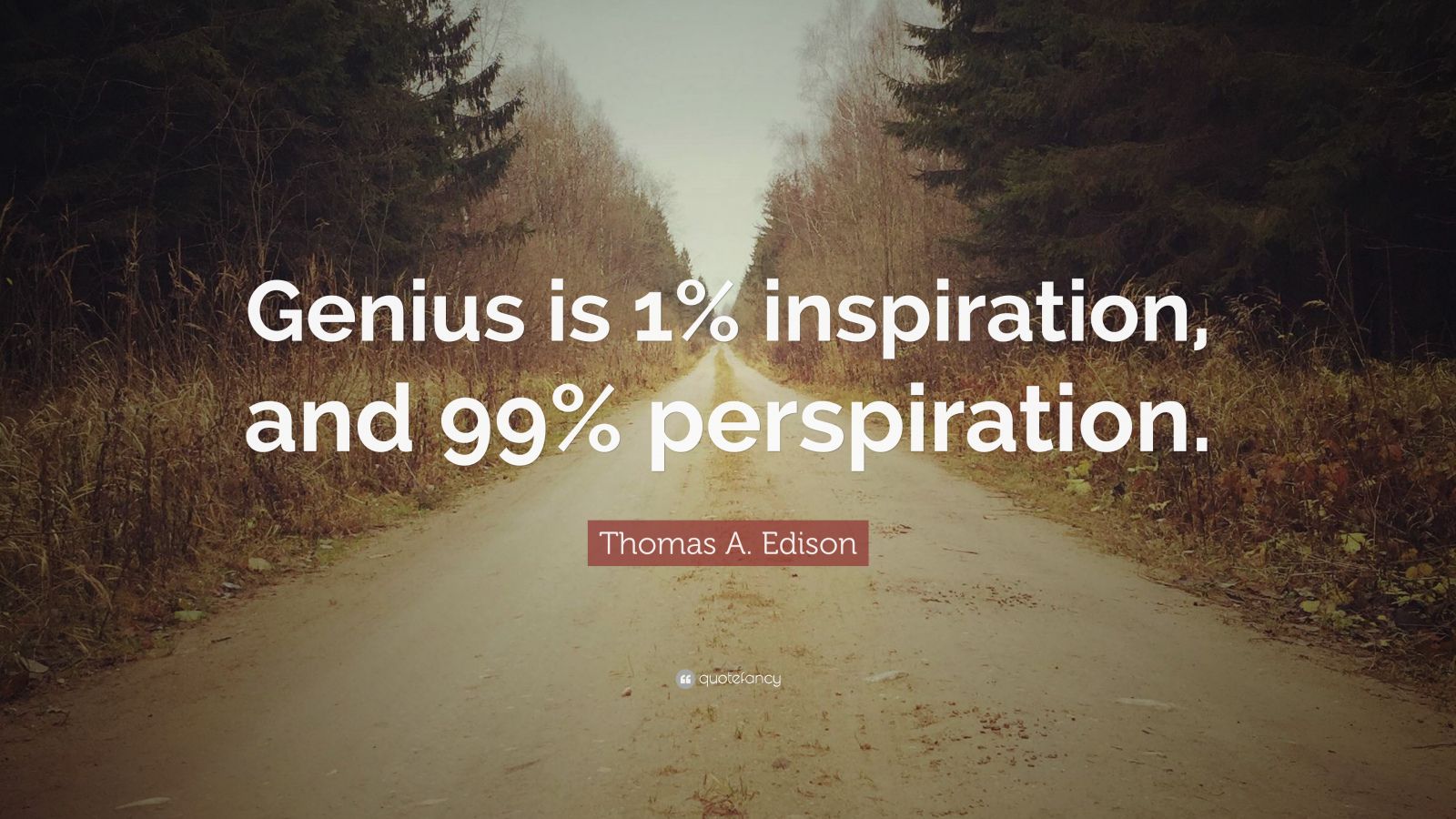 Thomas A. Edison Quote “Genius is 1 inspiration, and 99 perspiration