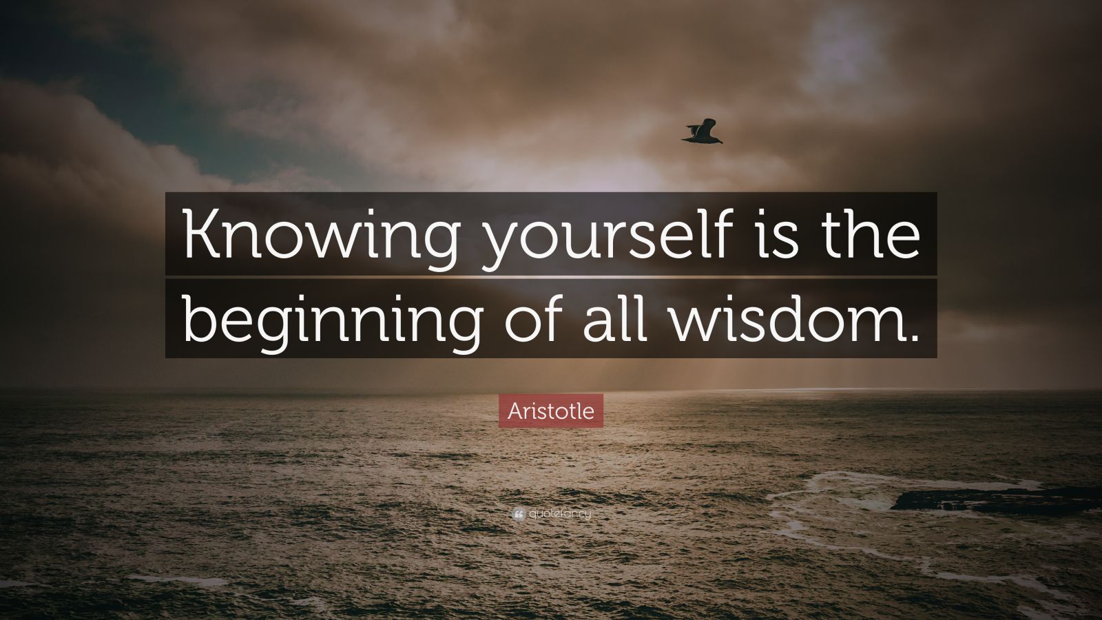 Aristotle Quote: “Knowing yourself is the beginning of all wisdom.” (22 ...