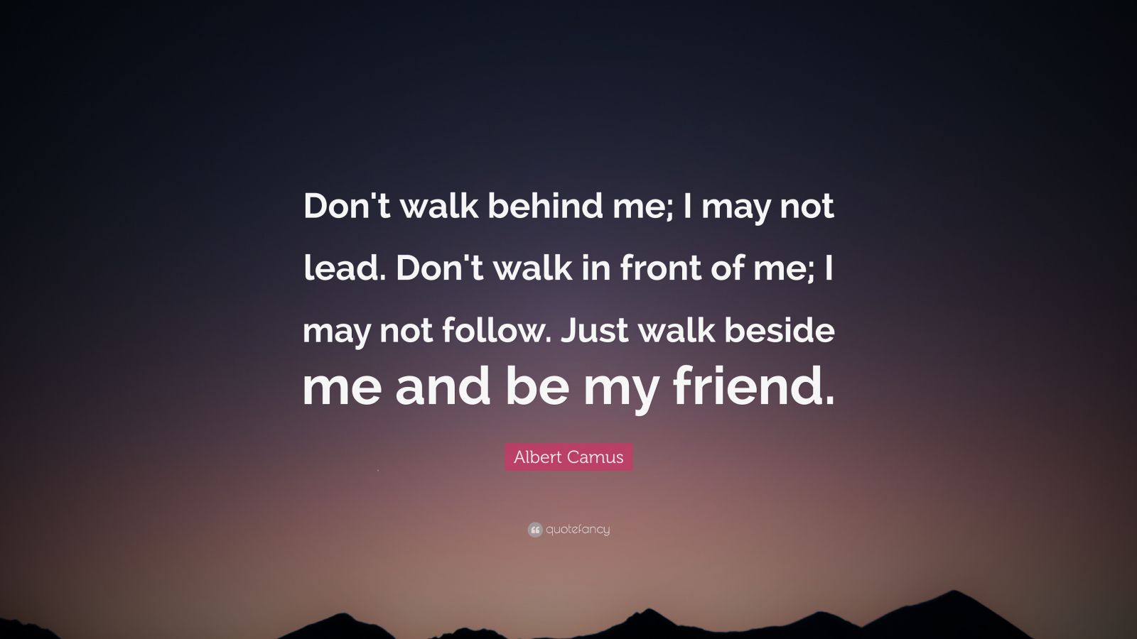Albert Camus Quote: “Don't walk behind me; I may not lead. Don't walk