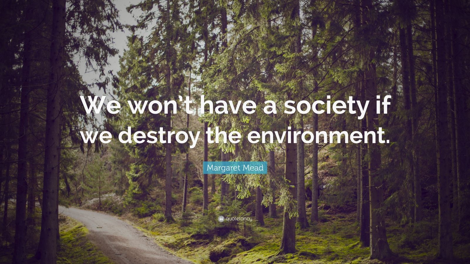 Margaret Mead Quote: “We won’t have a society if we destroy the ...