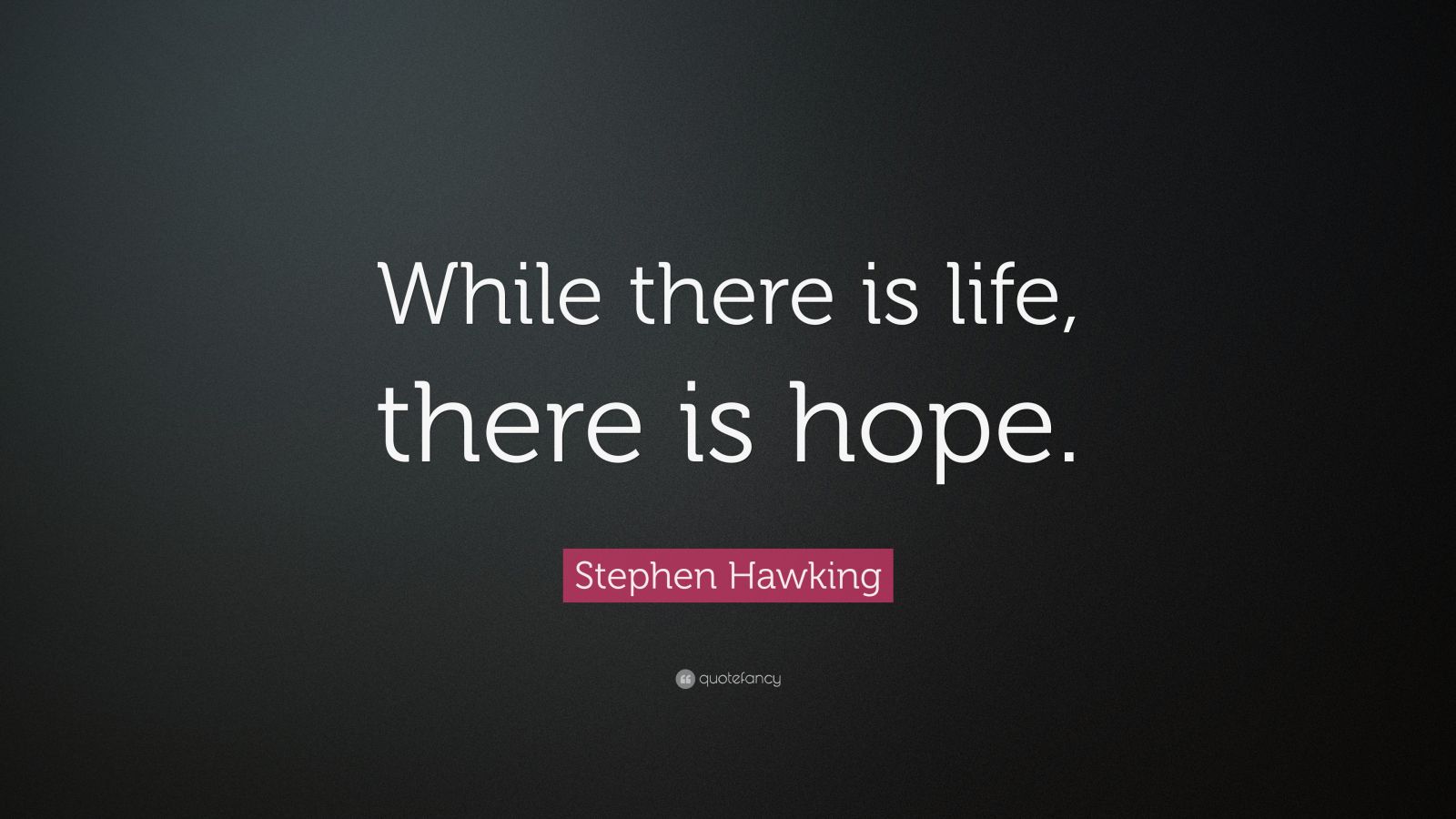 Stephen Hawking Quote: 