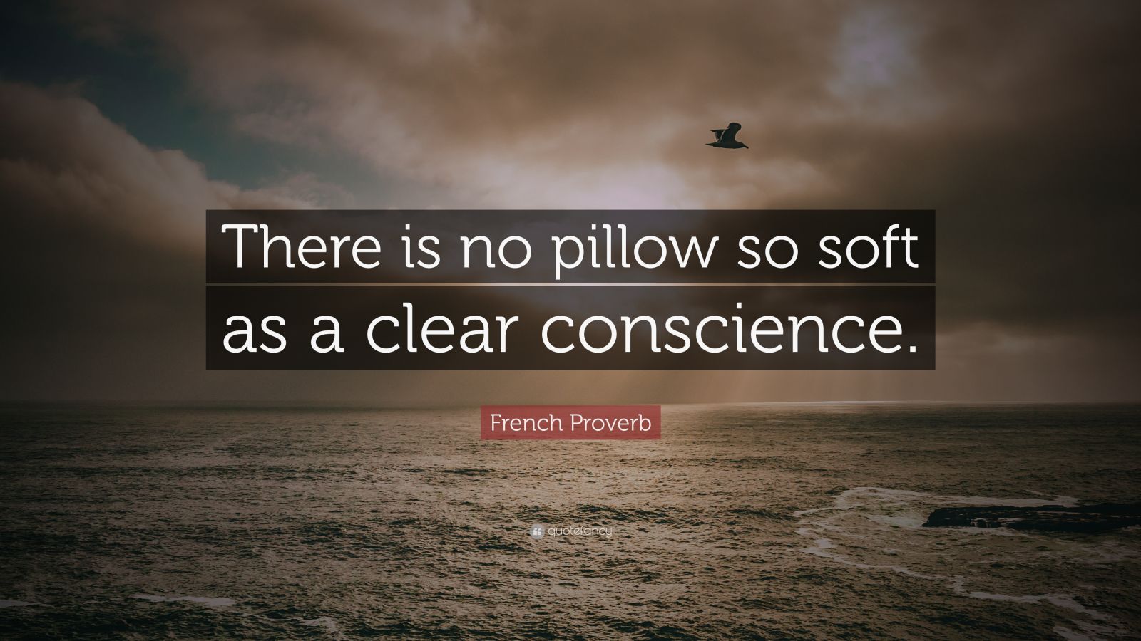 clear soft conscience pillow french proverb quote quotes inspirational quotefancy entrepreneurship