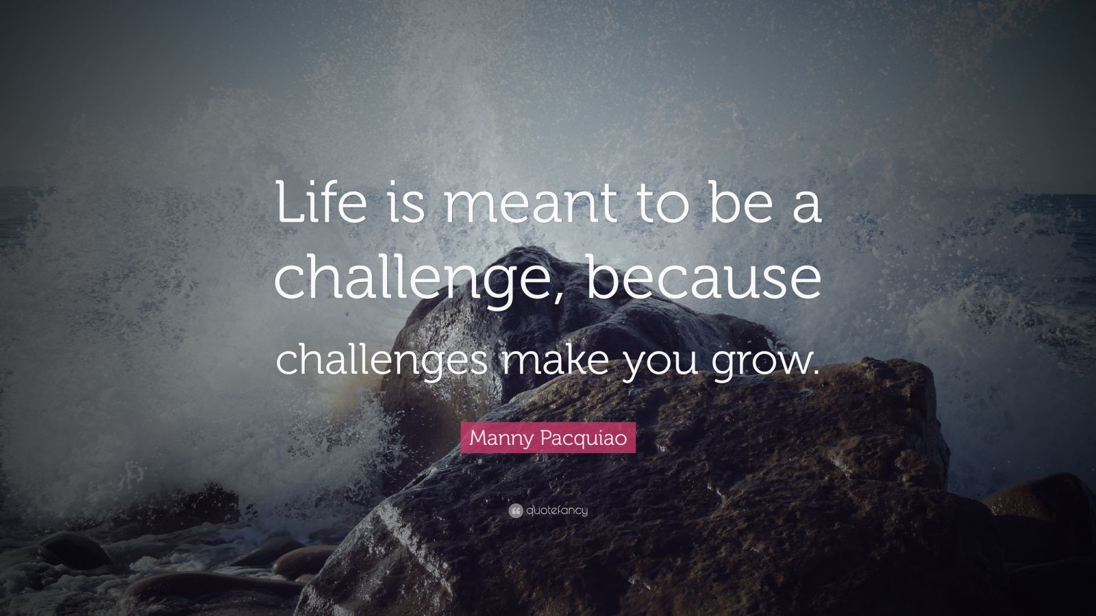 Manny Pacquiao Quote “life Is Meant To Be A Challenge Because