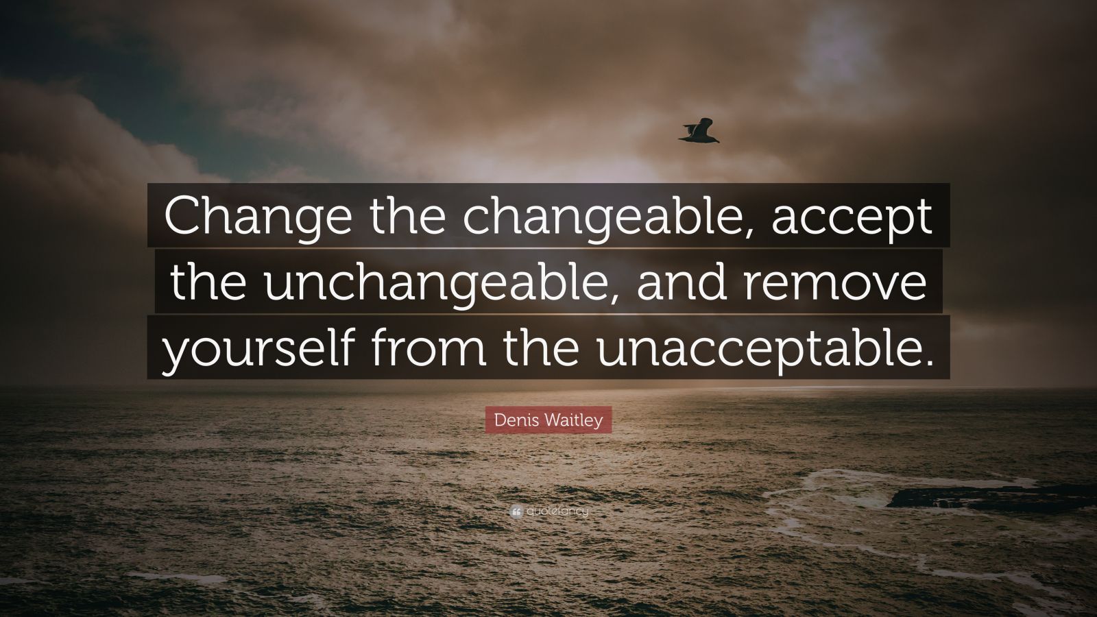 Denis Waitley Quote: “Change The Changeable, Accept The Unchangeable ...