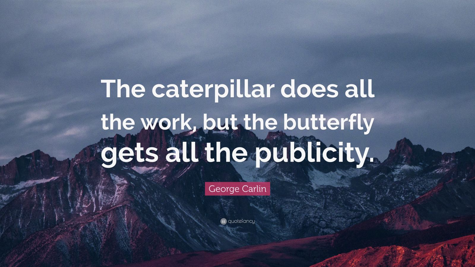 George Carlin Quote: “The caterpillar does all the work, but the butterfly gets all the publicity.”