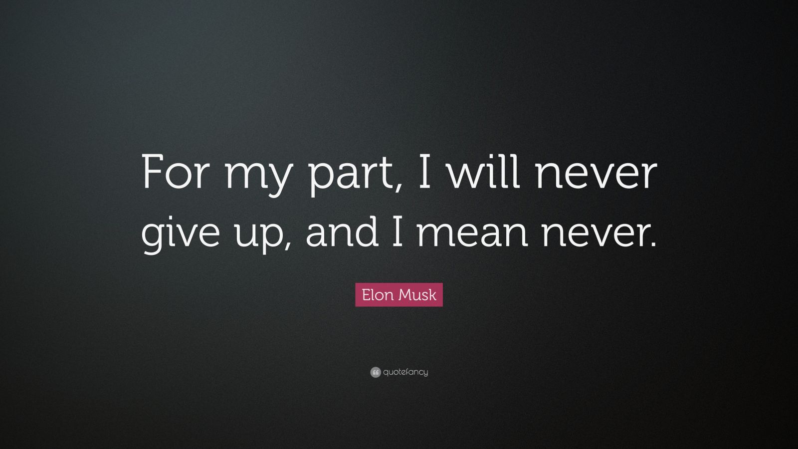 Elon Musk Quote: “For my part, I will never give up, and I mean never