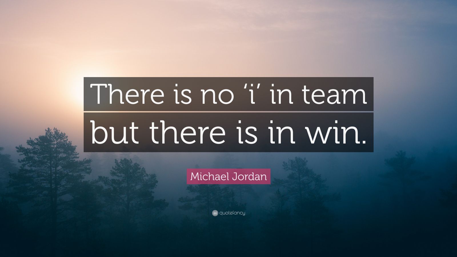 Michael Jordan Quote: “There is no ‘i’ in team but there is in win ...