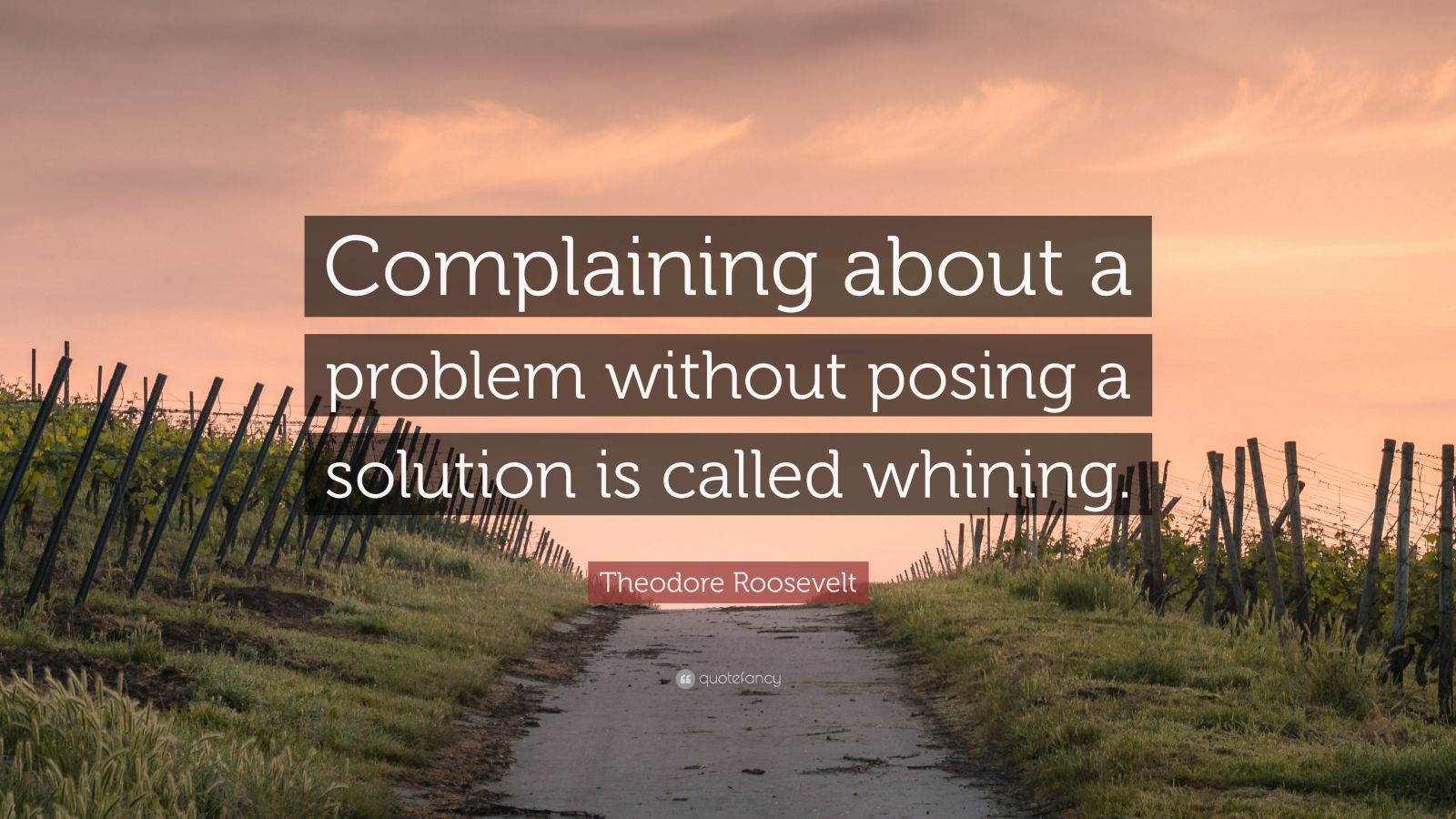 Theodore Roosevelt Quote: “Complaining About A Problem Without Posing A ...