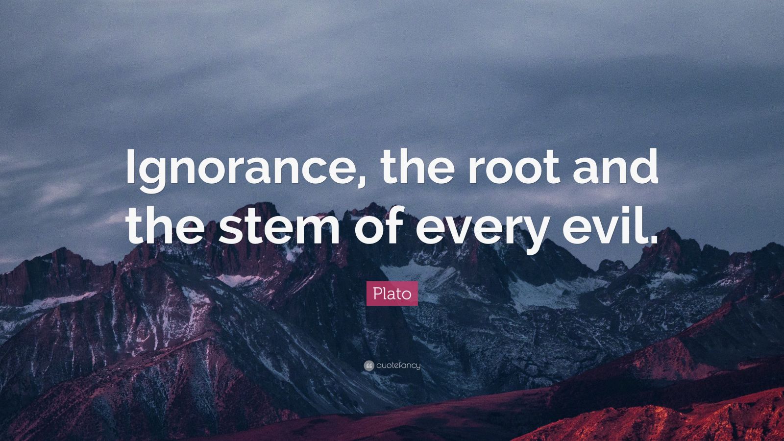 Plato Quote: “Ignorance, the root and the stem of every evil.” (16 ...