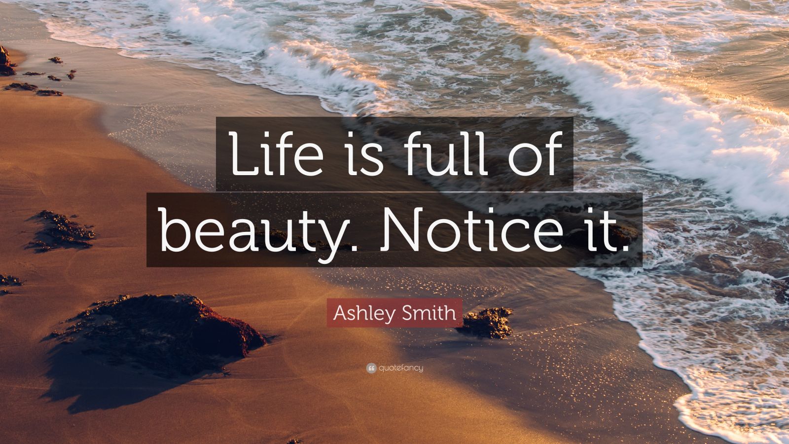 Ashley Smith Quote: “Life Is Full Of Beauty. Notice It.” (19 Wallpapers ...