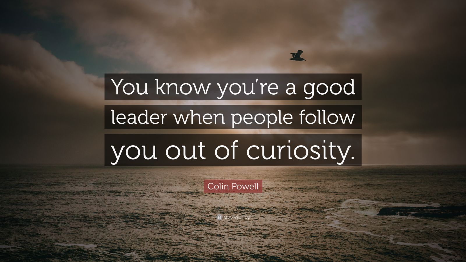 Colin Powell Quote: â€œYou know youâ€™re a good leader when people follow