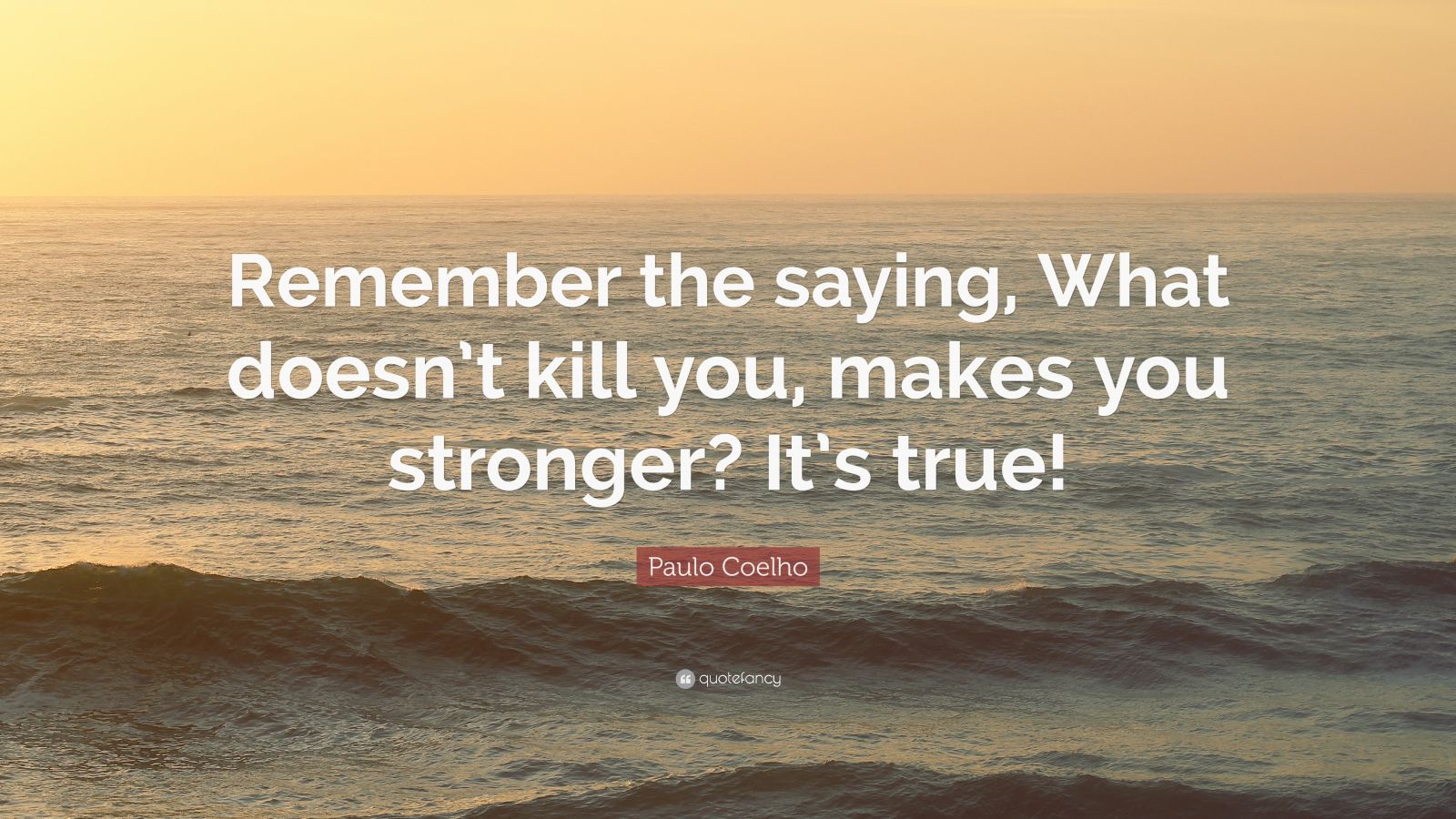 what-doesn-t-kill-you-makes-you-stronger-doesn-t-mean-i-m-lonely-when-i