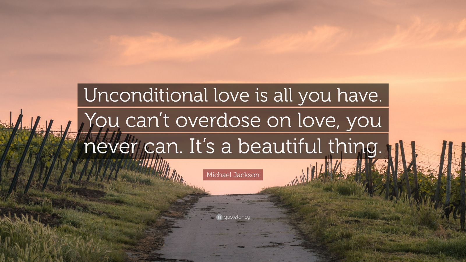 Michael Jackson Quote: “Unconditional love is all you have. You can’t ...