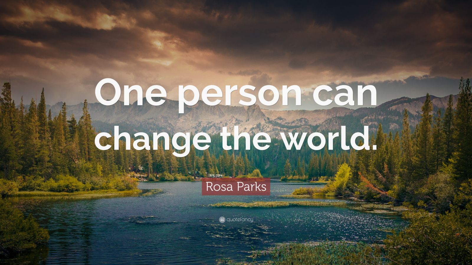 Rosa Parks Quote “One person can change the world.” (12