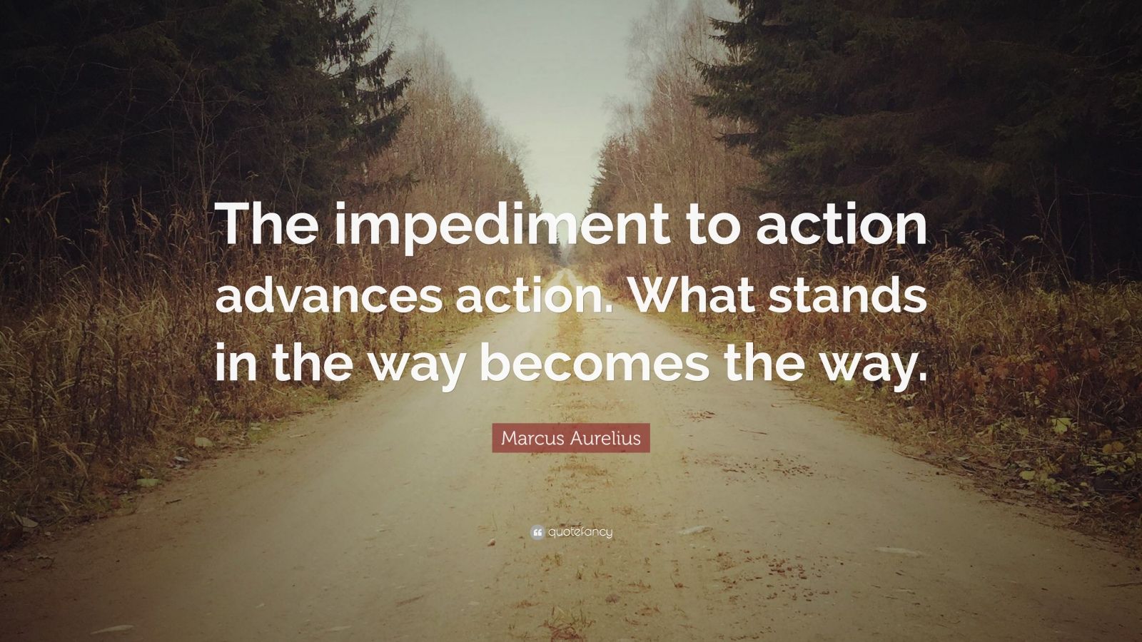 marcus-aurelius-quote-the-impediment-to-action-advances-action-what