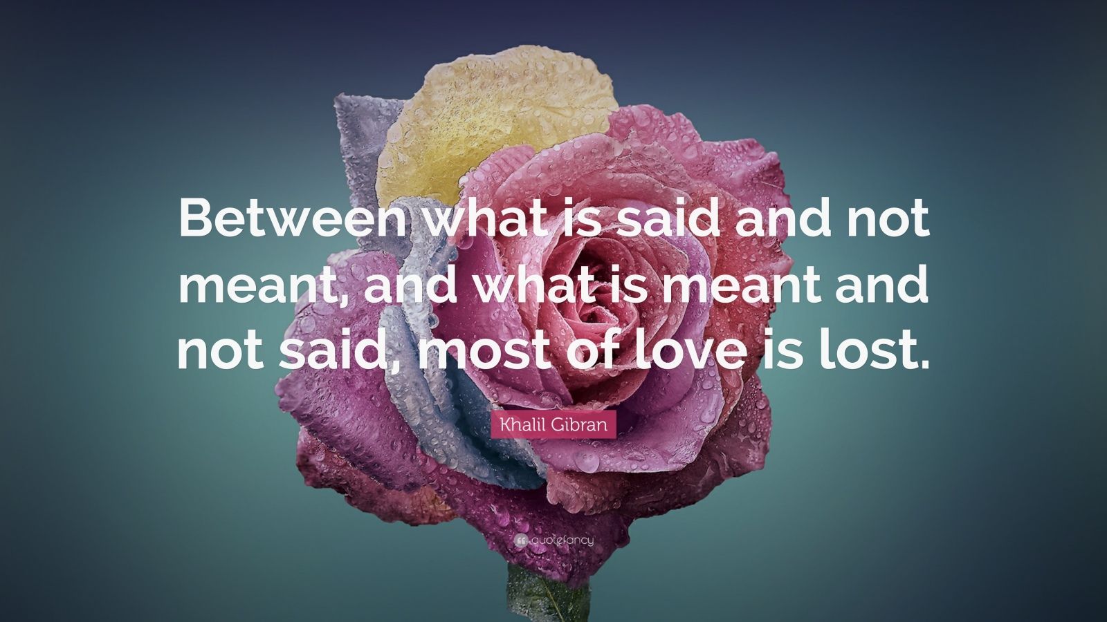 Khalil Gibran Quote: “Between what is said and not meant, and what is