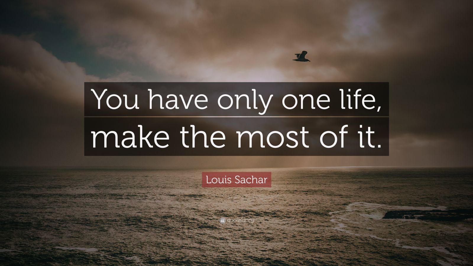 louis-sachar-quote-you-have-only-one-life-make-the-most-of-it-12