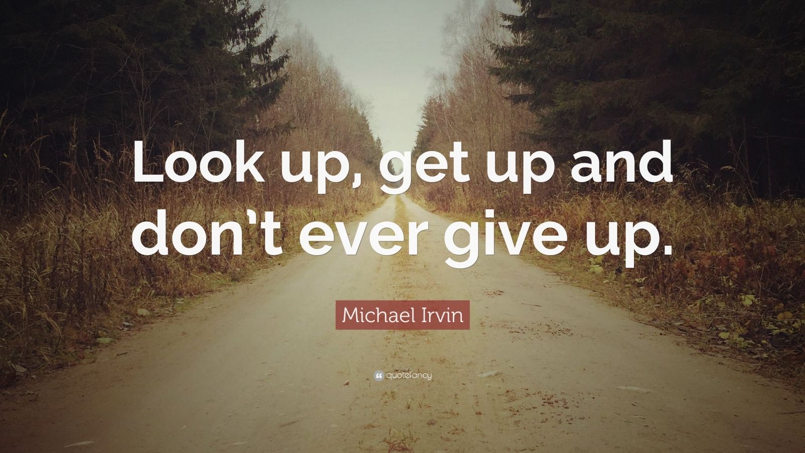 Michael Irvin Quote: “Look up, get up and don’t ever give up.” (12