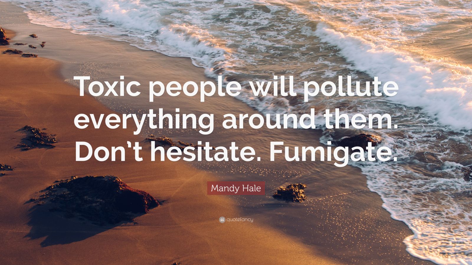 Mandy Hale Quote: “Toxic people will pollute everything around them
