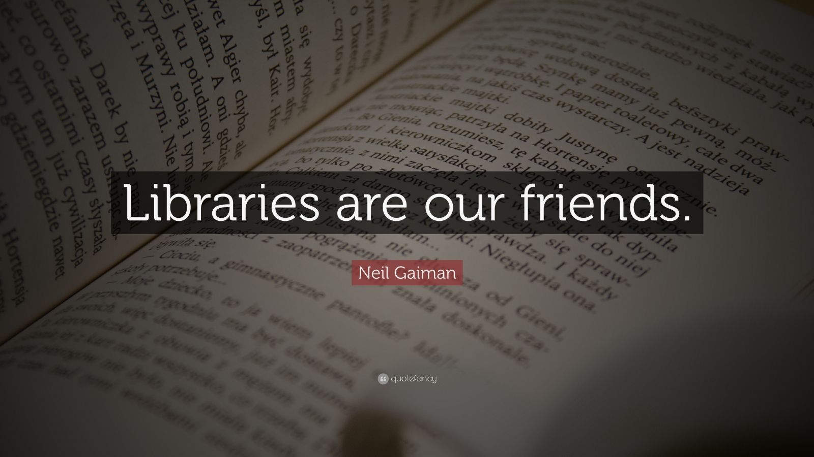 Neil Gaiman Quote: “Libraries are our friends.” (12 wallpapers ...