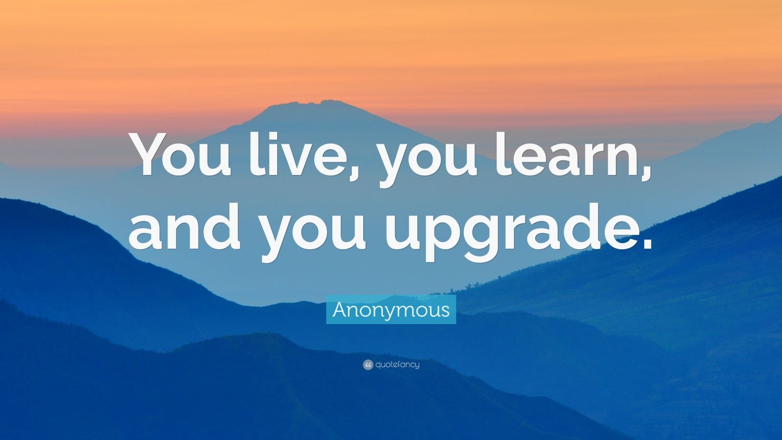 Anonymous Quote “you Live You Learn And You Upgrade