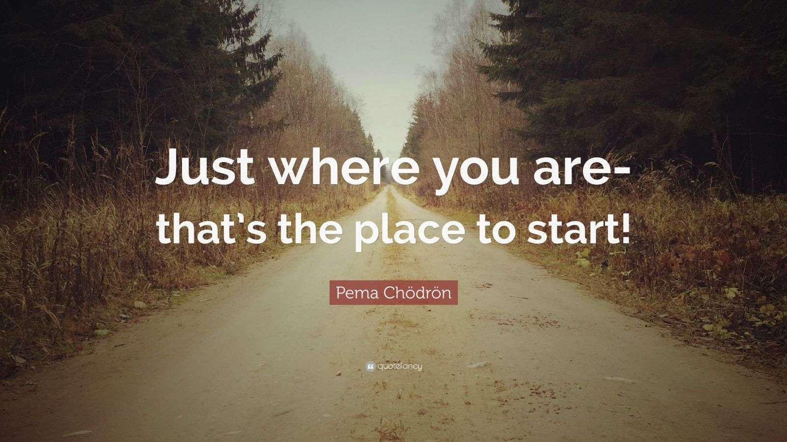 Pema Chödrön Quote: “Just where you are-that’s the place to start!” (12