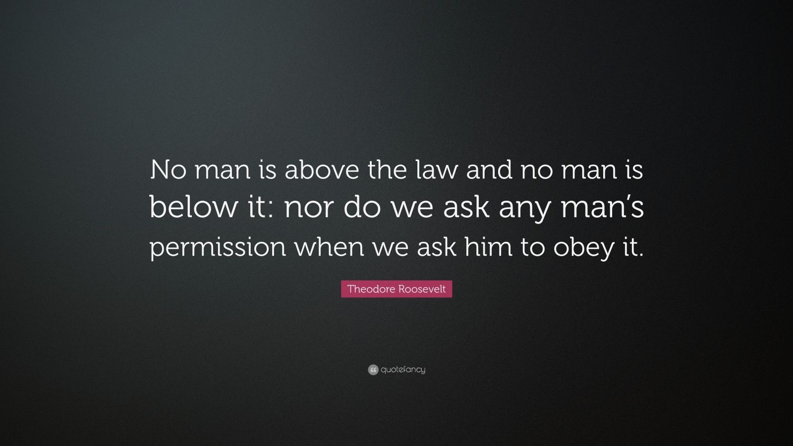 Theodore Roosevelt Quote: “No man is above the law and no man is below ...