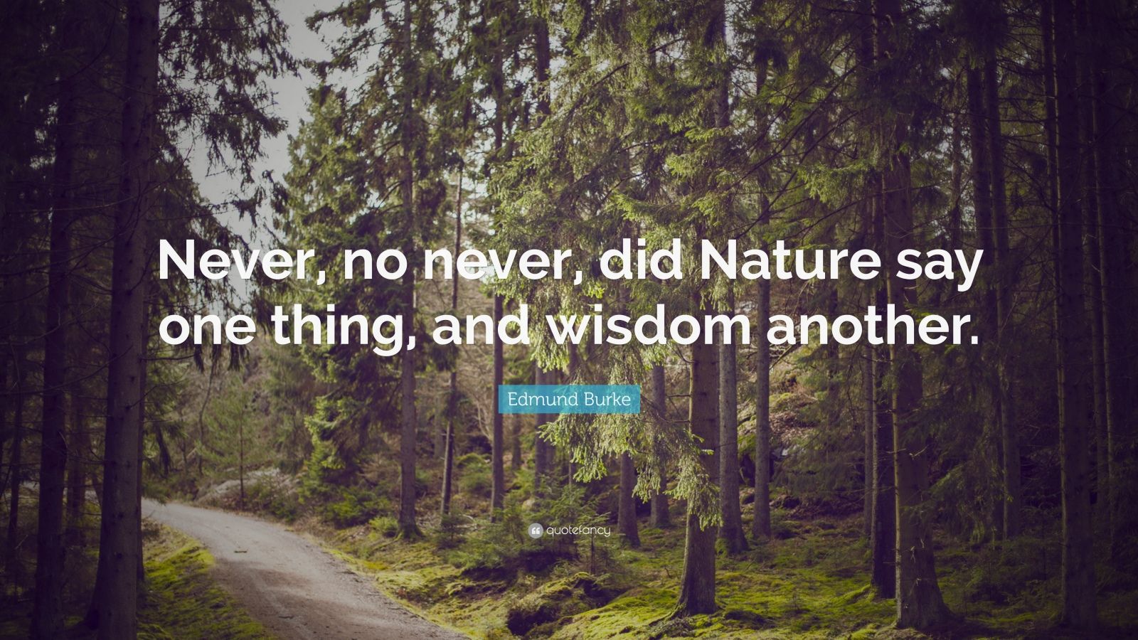 Edmund Burke Quote: “Never, no never, did Nature say one thing, and ...