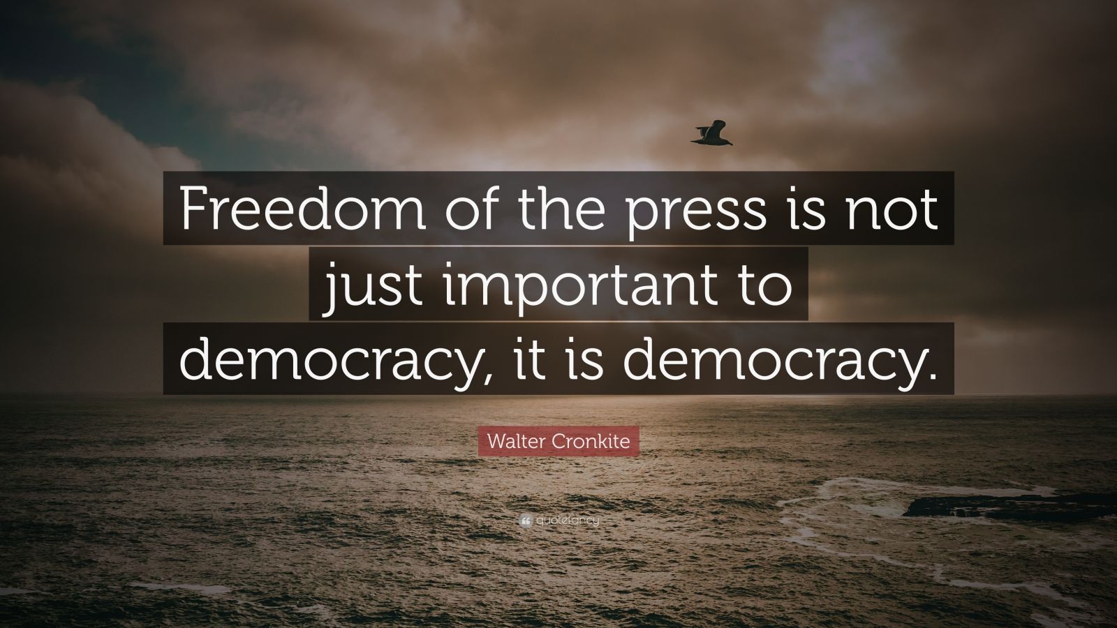 The Importance Of Freedom Of Expression In Democracy