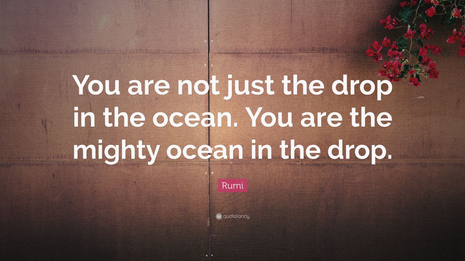 Rumi Quote “You are not just the drop in the ocean. You are the mighty