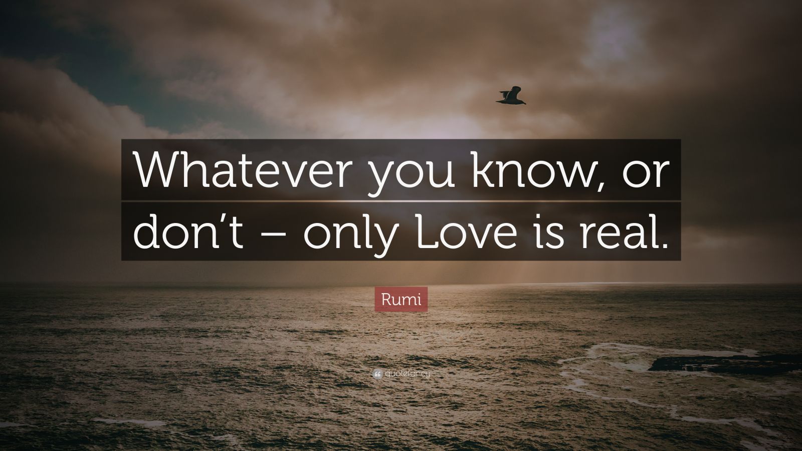 Rumi Quote “Whatever you know, or don’t only Love is