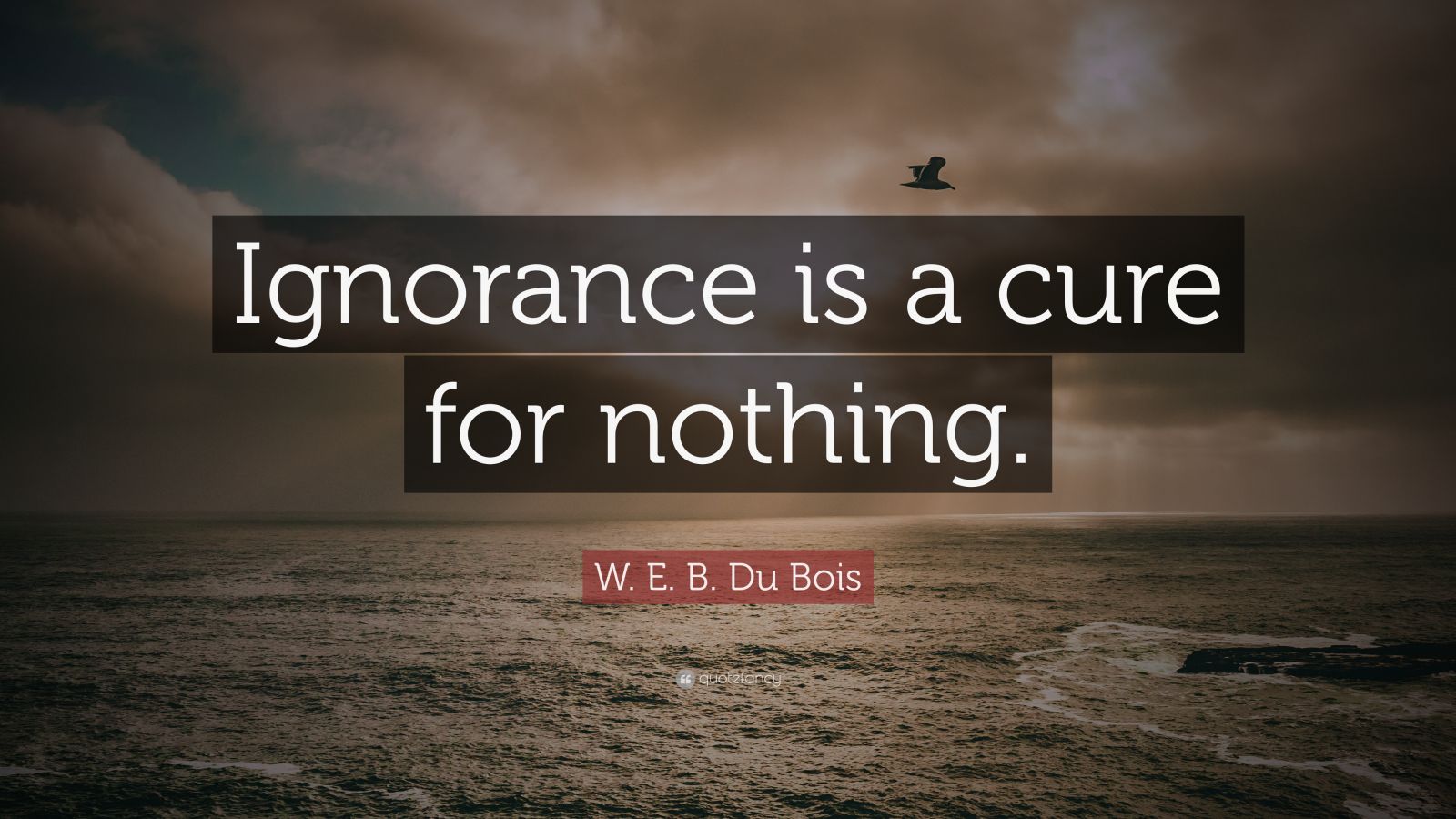 W. E. B. Du Bois Quote: “ignorance Is A Cure For Nothing.” (12 