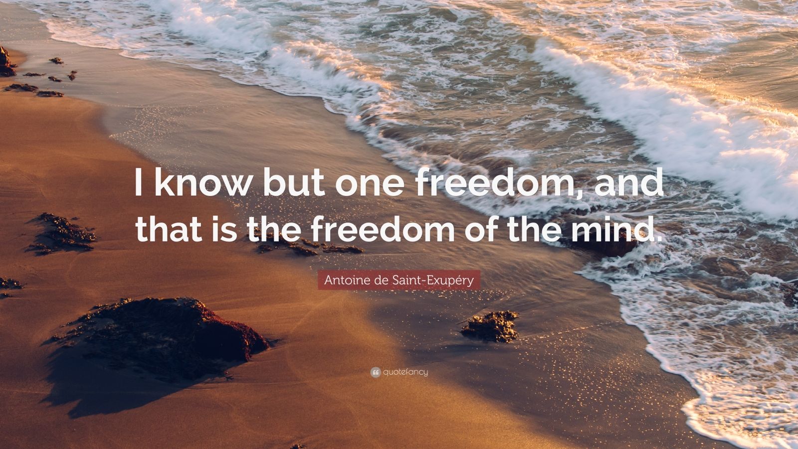 Antoine de Saint-Exupéry Quote: “I know but one freedom, and that is ...