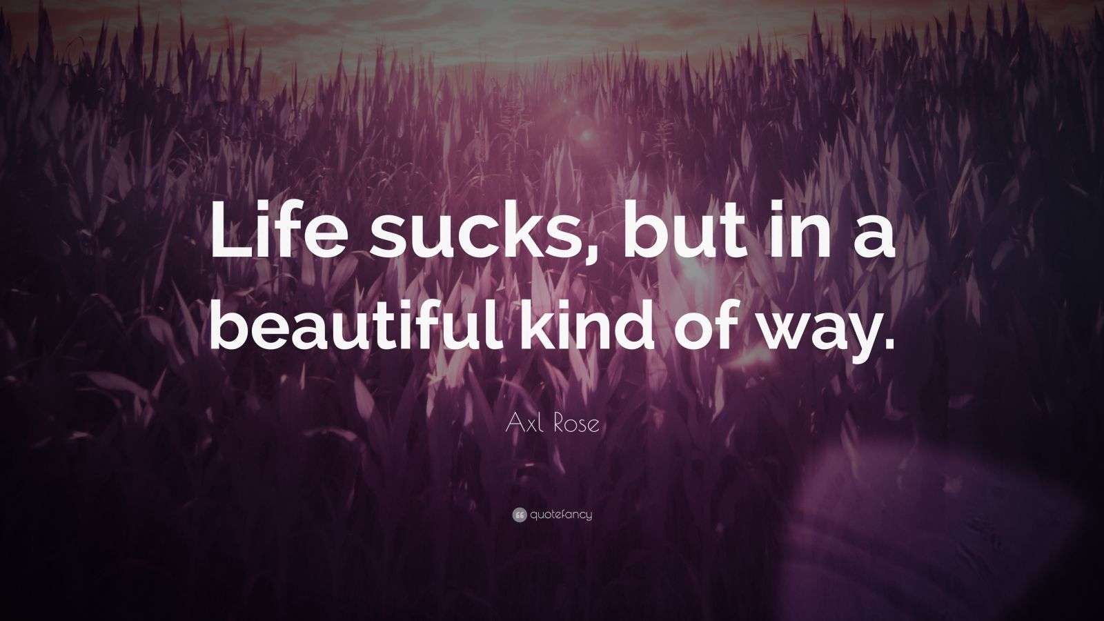Axl Rose Quote “Life sucks, but in a beautiful kind of way.” (7