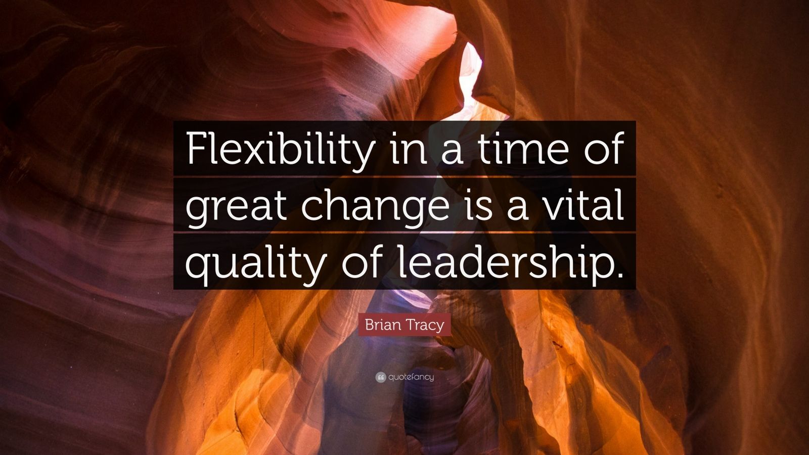 Brian Tracy Quote: “Flexibility In A Time Of Great Change Is A Vital ...