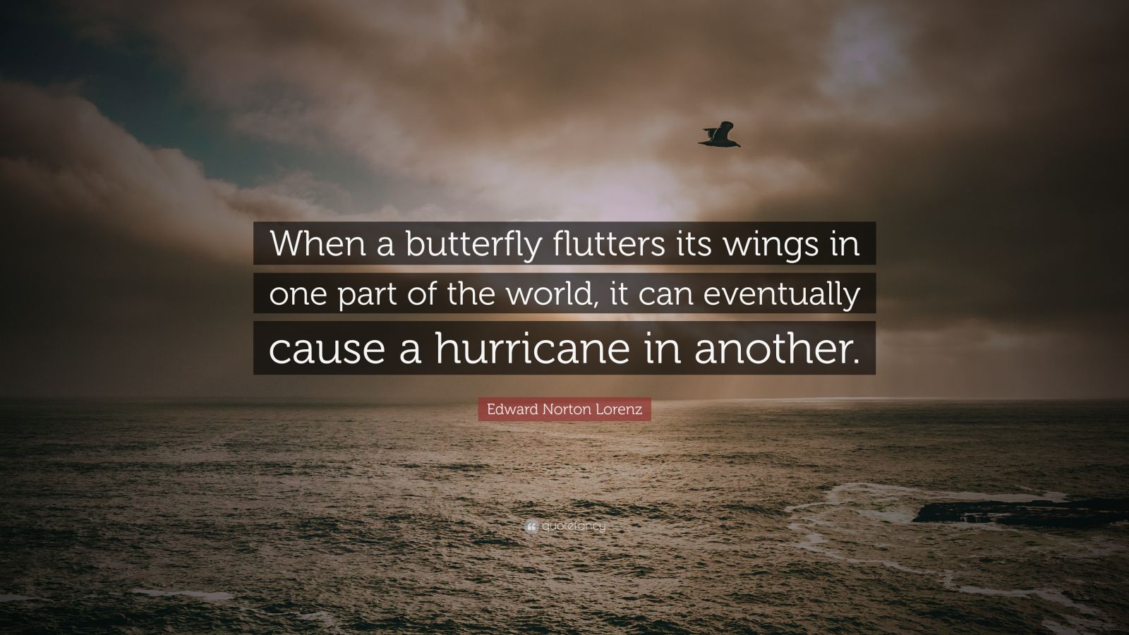 Edward Norton Lorenz Quote “When a butterfly flutters its wings in one