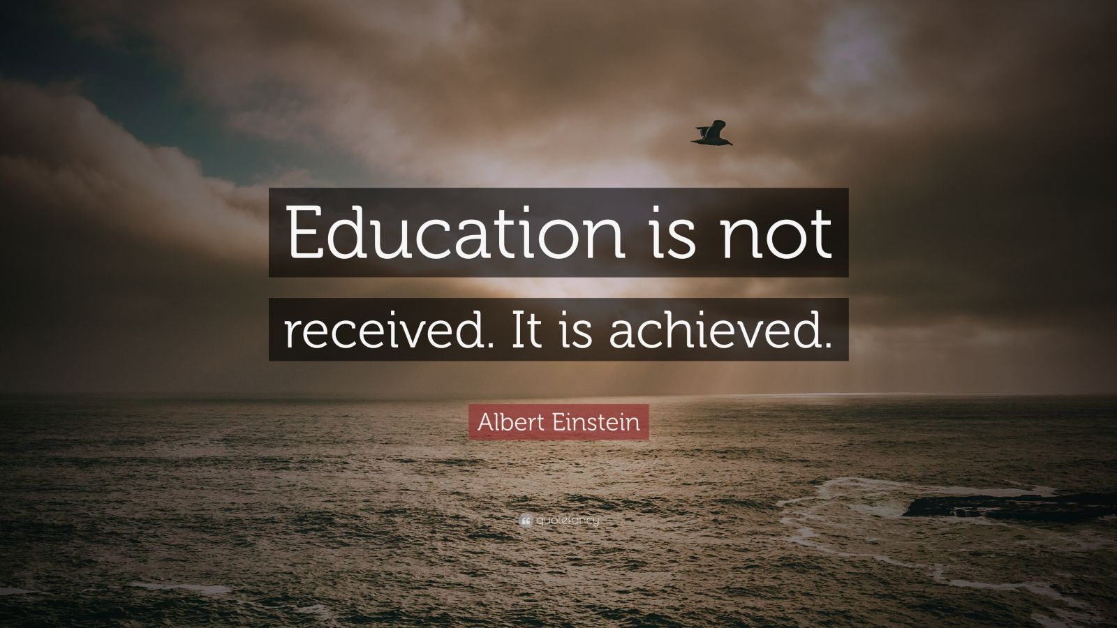 Albert Einstein Quote: “Education is not received. It is achieved.” (9 ...