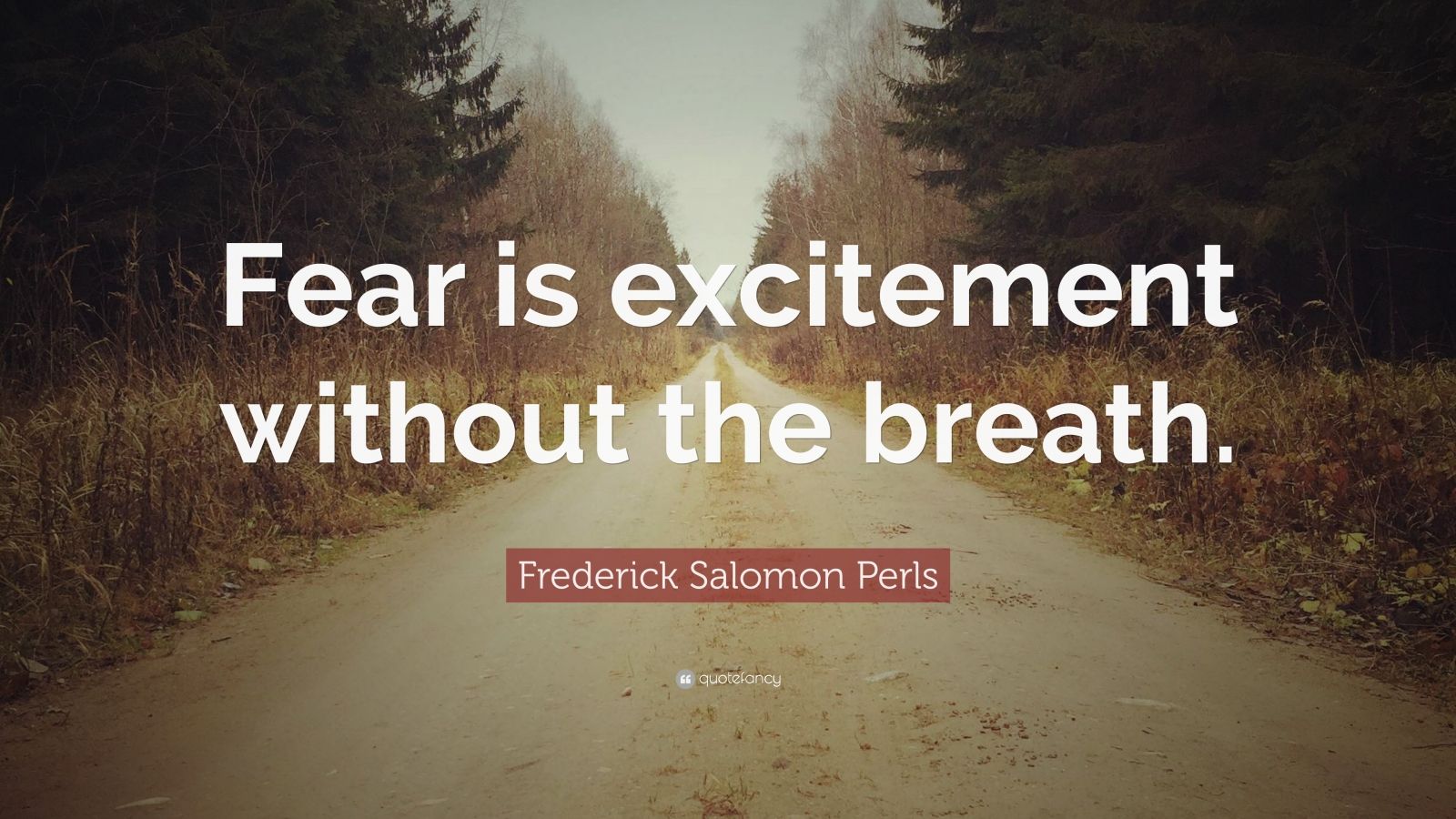 Frederick Salomon Perls Quote: “Fear is excitement without the breath ...