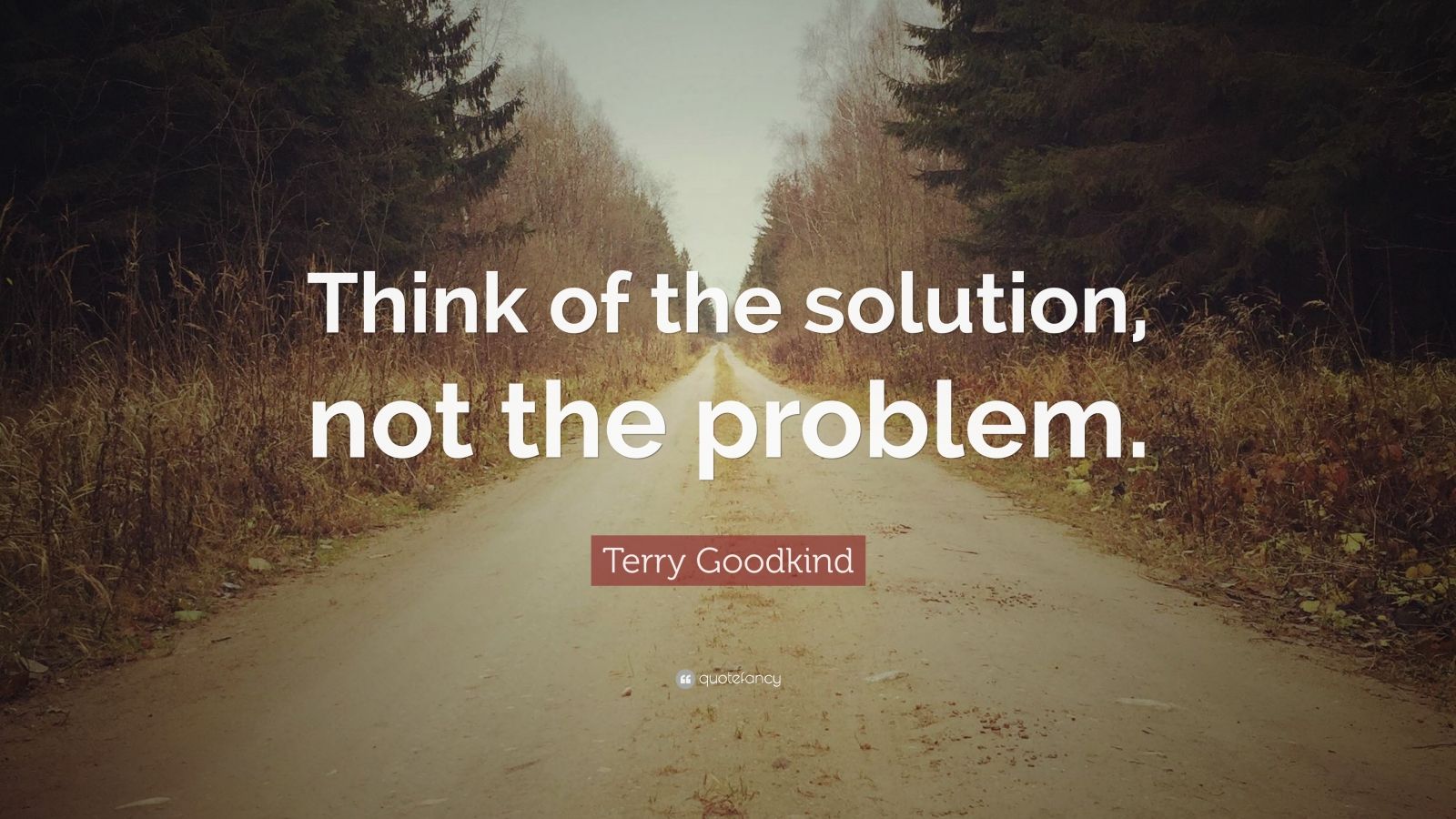 Terry Goodkind Quote: “Think of the solution, not the problem.” (12 ...