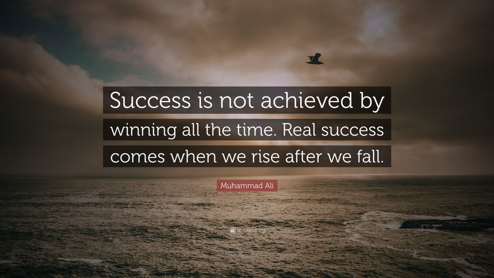 Muhammad Ali Quote: “Success is not achieved by winning all the time ...