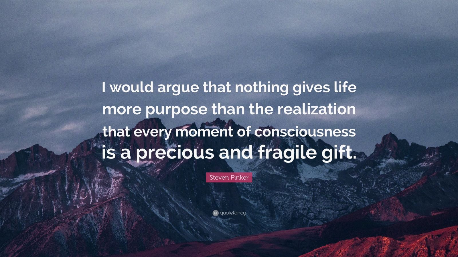 Steven Pinker Quote: “I would argue that nothing gives life more ...