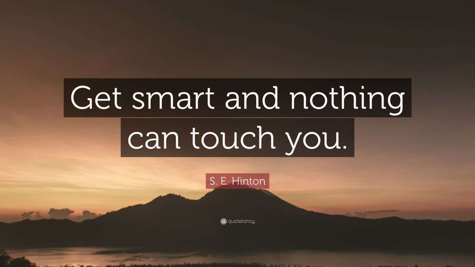 S. E. Hinton Quote “Get smart and nothing can touch you.” (12
