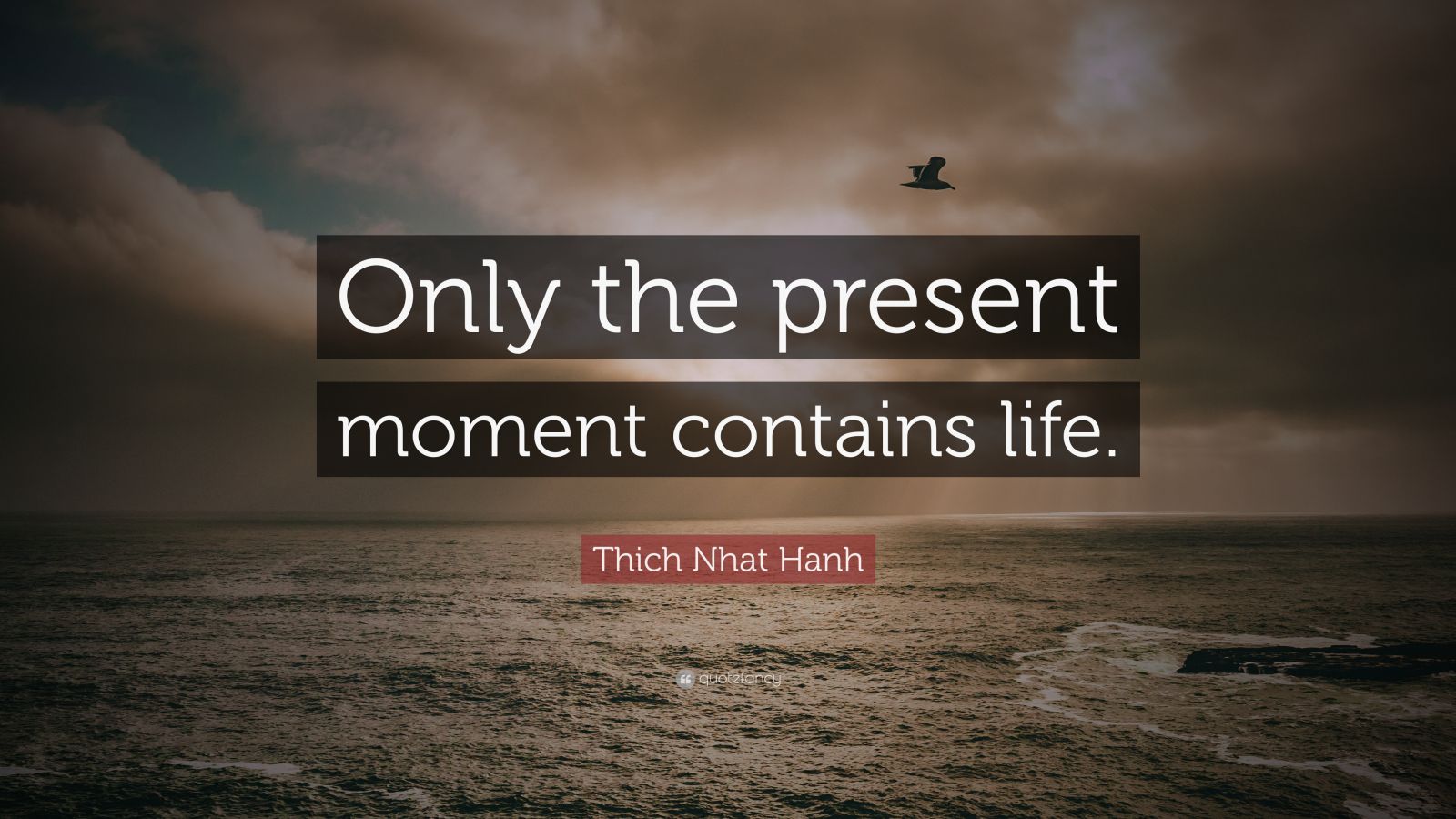 Thich Nhat Hanh Quote: “Only the present moment contains life.” (12 ...