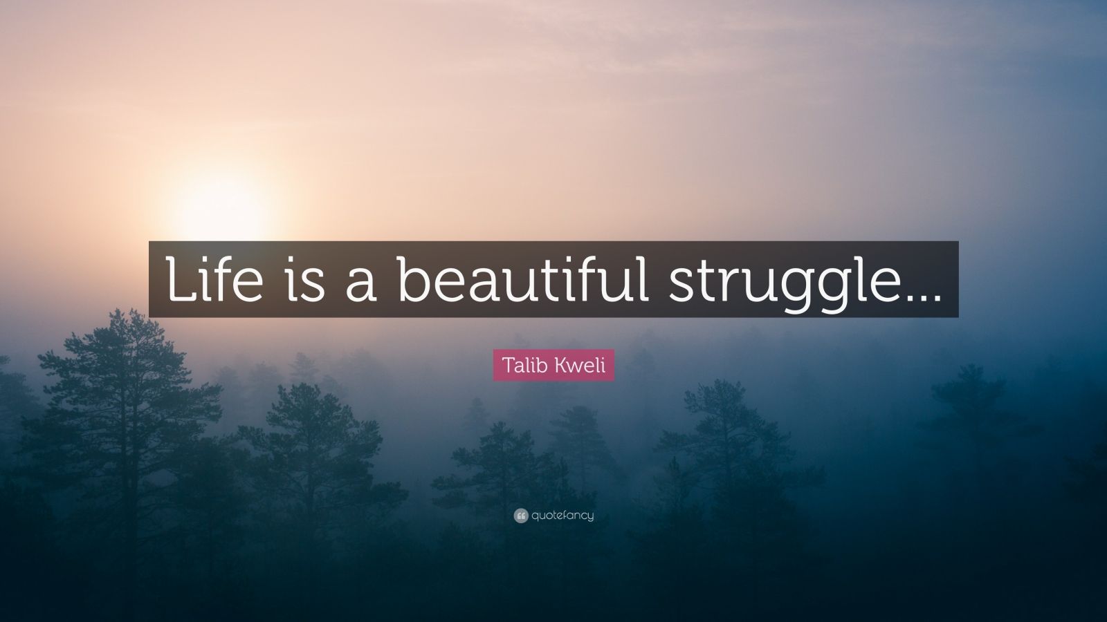 Talib Kweli Quote “Life is a beautiful struggle...” (9 wallpapers