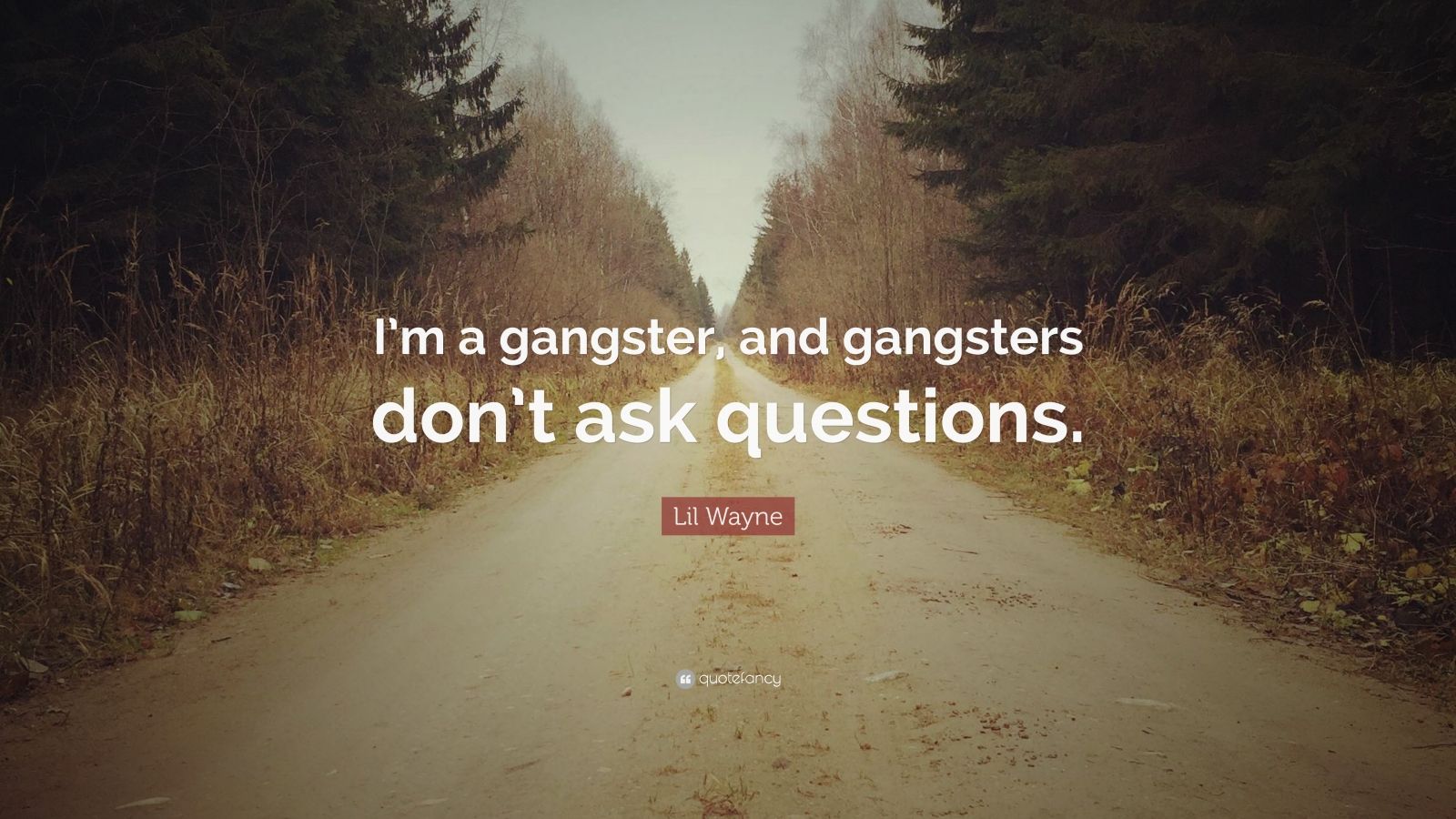 Lil Wayne Quote: “I’m a gangster, and gangsters don’t ask questions ...