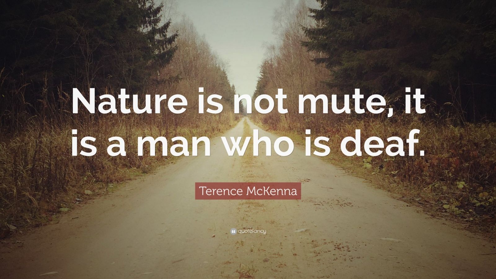 Terence McKenna Quote “Nature is not mute, it is a man who is deaf.”