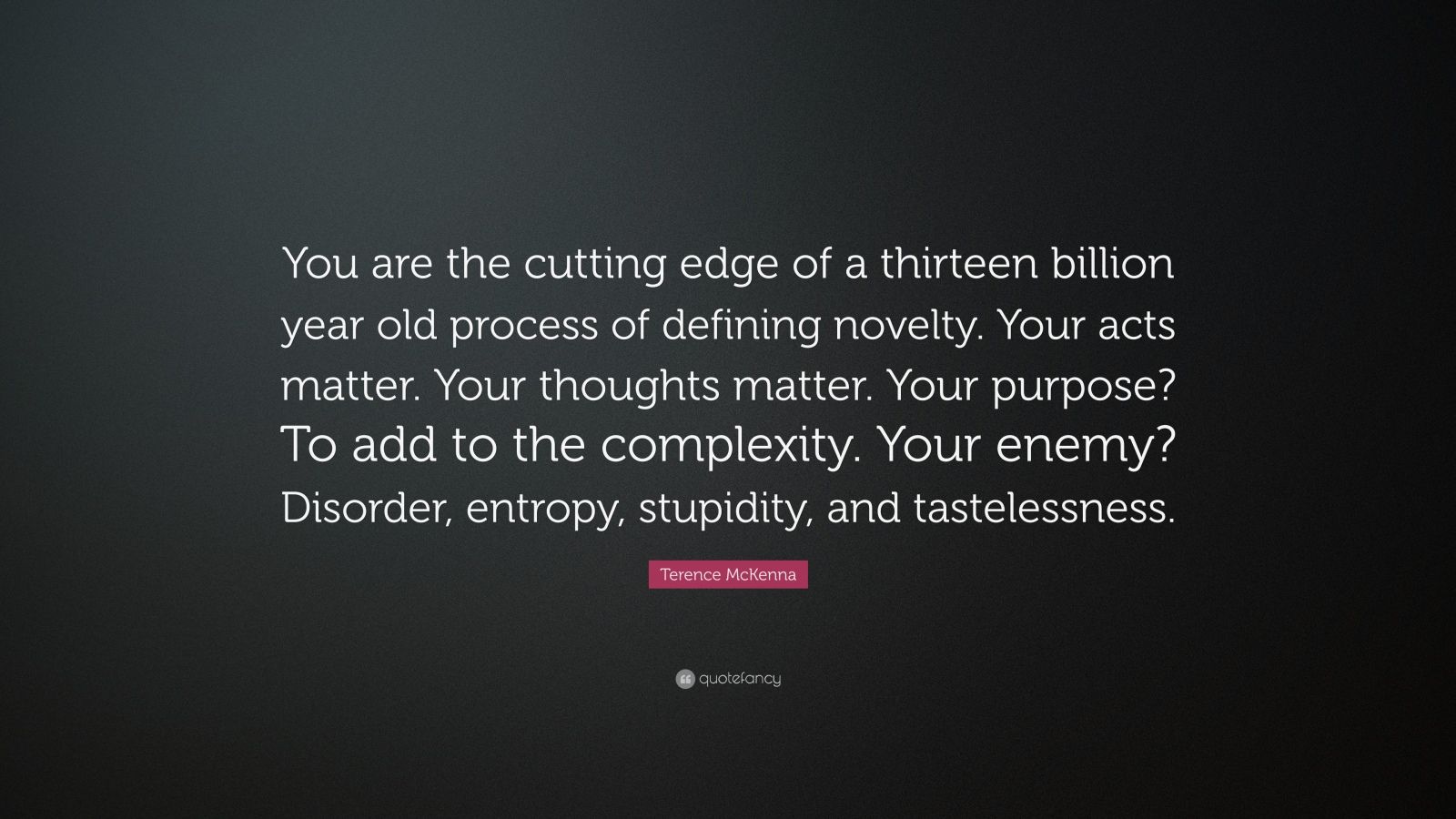 Terence McKenna Quote You Are The Cutting Edge Of A Thirteen Billion Year Old Process Of