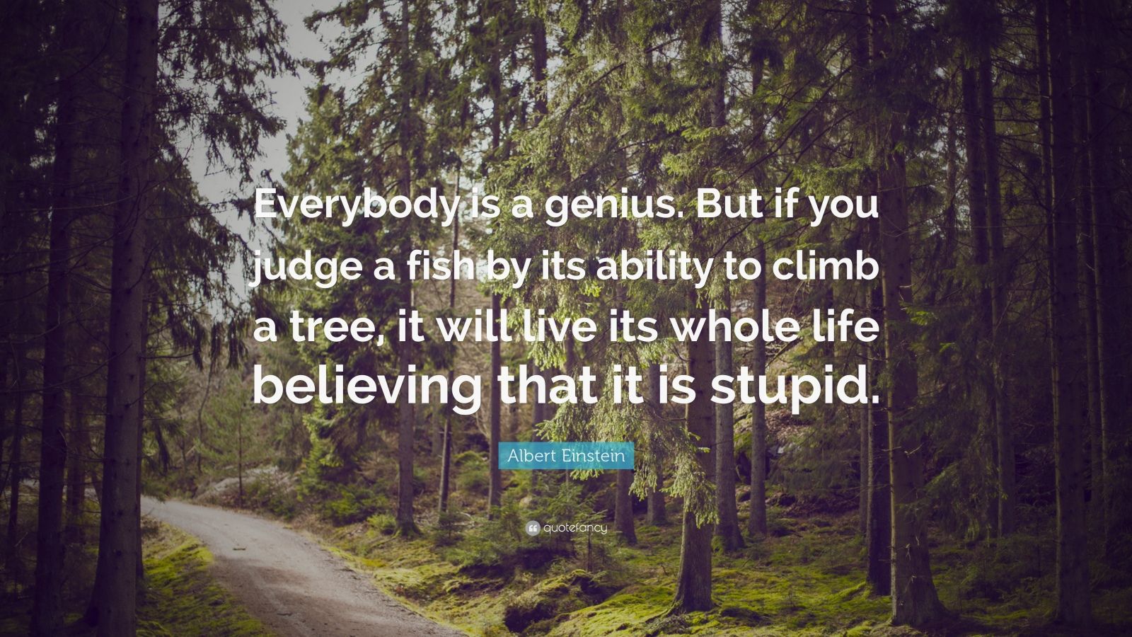 Albert Einstein Quote: “Everybody is a genius. But if you judge a fish ...