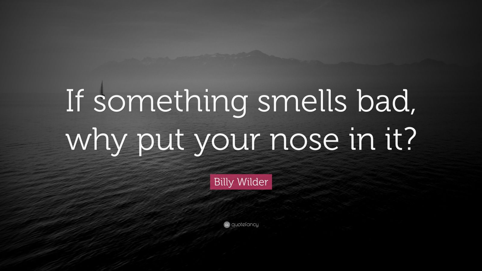 Billy Wilder Quote “If something smells bad, why put your nose in it?” (7 wallpapers) Quotefancy